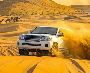 EVENING DESERT SAFARI